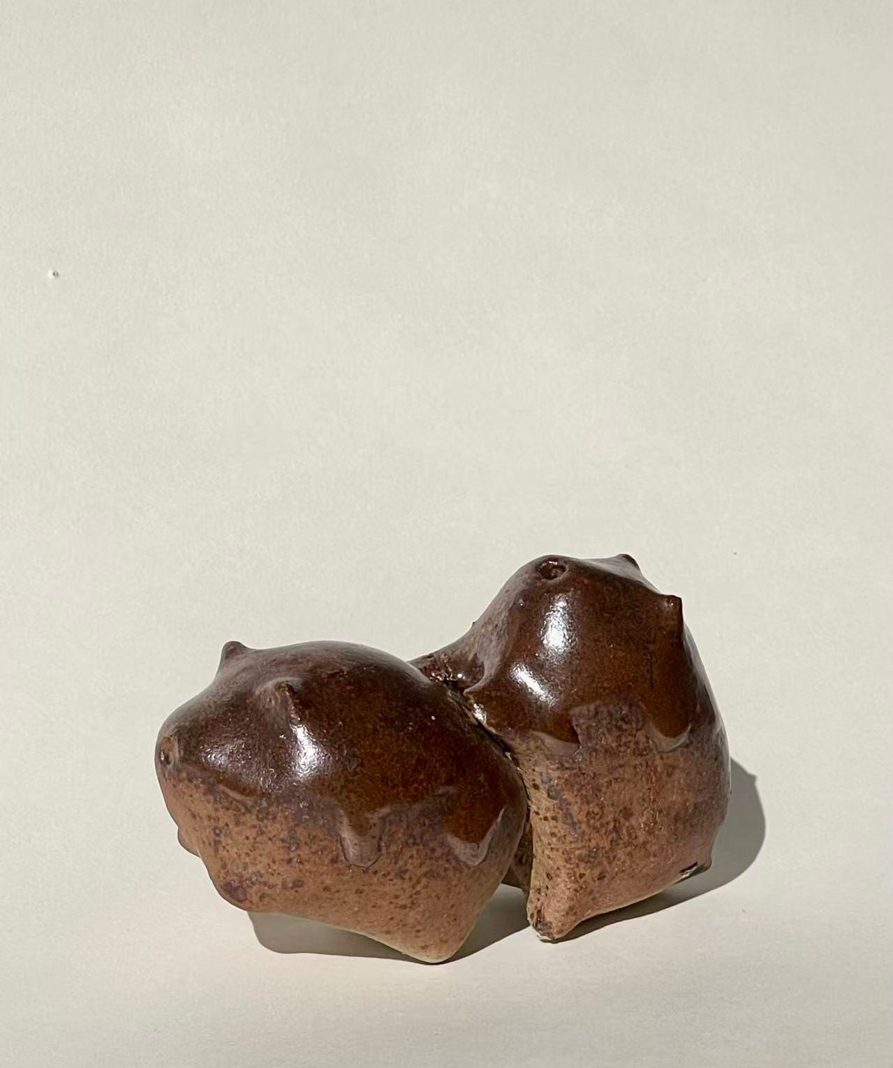 陶宠